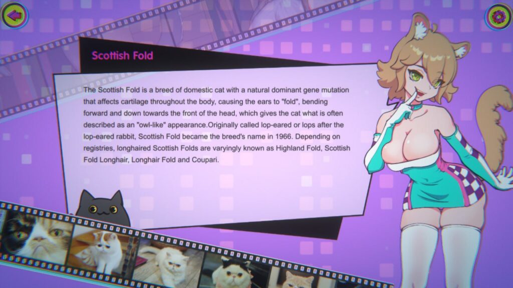 图片[3]-Miss Neko 3/猫咪小姐3-F95GAME